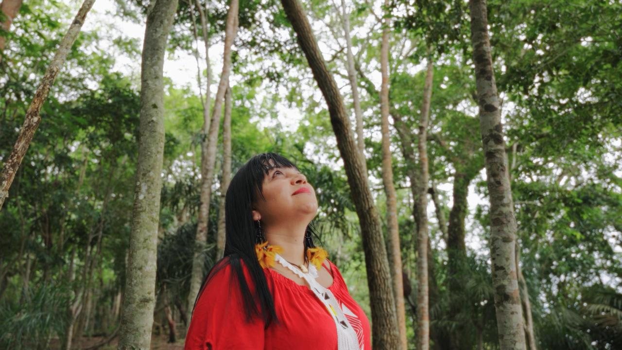 Auricélia em meio à floresta